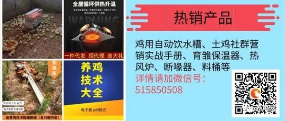 2019年5月31日全國肉毛雞市場價(jià)格分析與行情參考